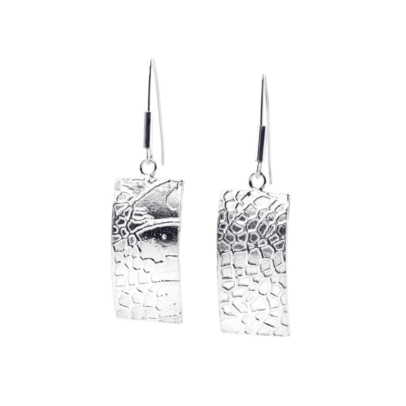 Vestige - Silver Earrings by Dorian Grabowski